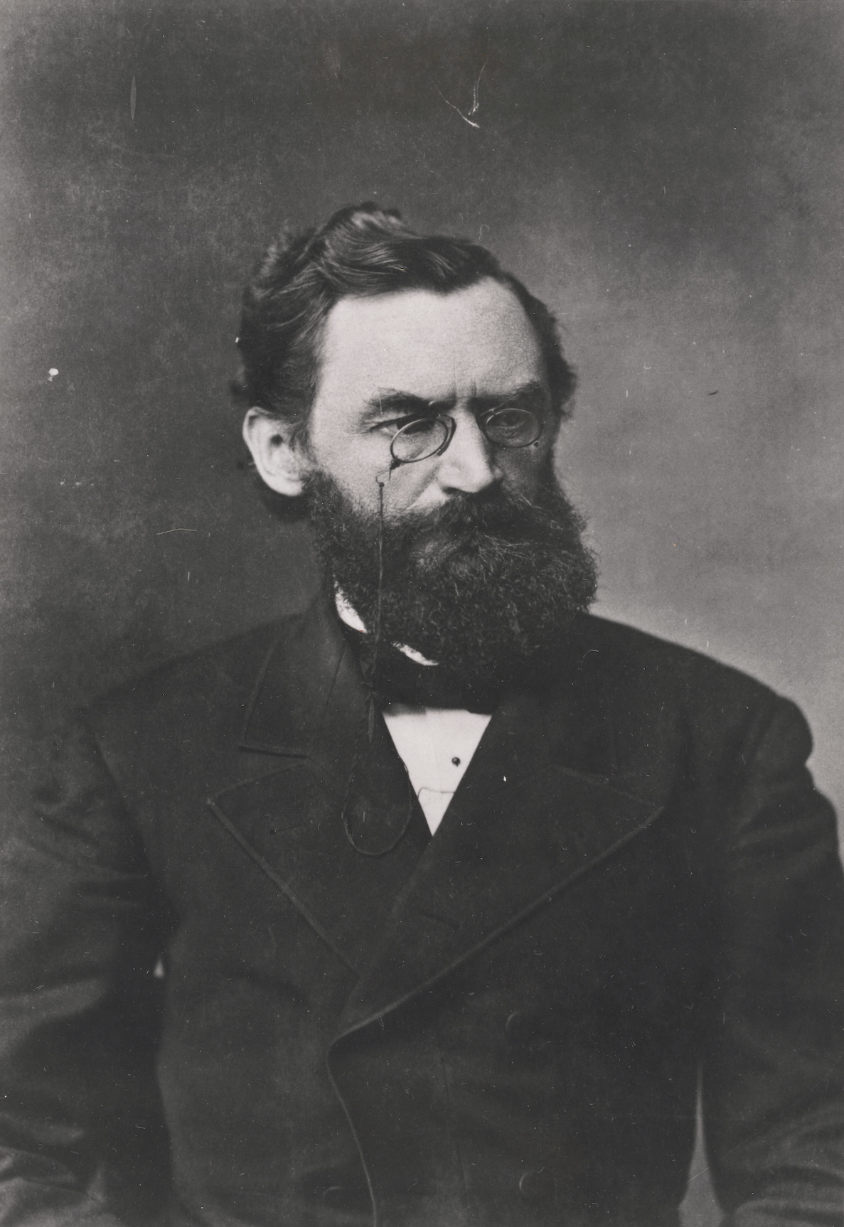 Porträt von Carl Schurz aus seiner Zeit als Innenminister der USA (1877-1881)